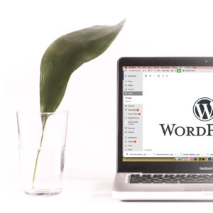 Photo of a laptop with a WordPress Dashboard screen on the monitor.