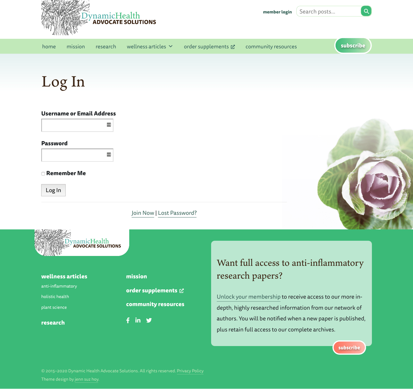 Screenshot of the Custom Login page for Dynamic Health Advocate Solutions